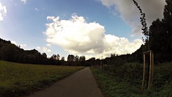 Picture from track Hradec Králové - Kuks, Labe cycle path