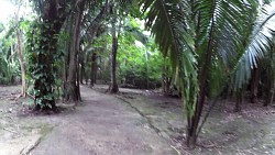 Фото с дорожки Чакчобен Руины, Коста-Майя, Мексика