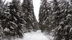 Фото с дорожки От Квилды на беговых лыжах через источники Влтавы, Модраву и Горную Квилду и обратно в Квилду.
