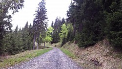 Obrázek z trasy Z Ostrova přes Jáchymov na Klínovec a Plešivec