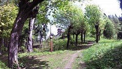Obrázok z trasy Mariánské Lázně - Kráľovská vychádzková trasa