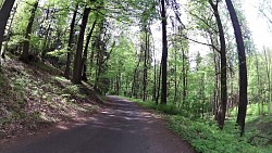 Фото с дорожки Марианске Лазне – Королевский прогулочный маршрут