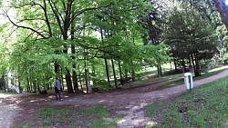 Obrazek z trasy Mariańskie Łaźnie – Trasa Goethego