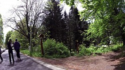 Obrazek z trasy Mariańskie Łaźnie – Trasa Goethego