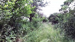 Obrázek z trasy Džbánsko – krajinou zlatavé opuky
