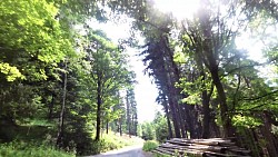 Picture from track Route no. 22: Velká Úpa – Výsluní – Janovy Boudy