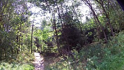 Obrázok z trasy Od lesa na náučný chodník do údolia Doubravy