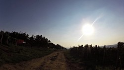 Obrázek z trasy Podél vinic až tam, kde roste radost.