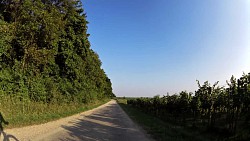 Obrázek z trasy Podél vinic až tam, kde roste radost.