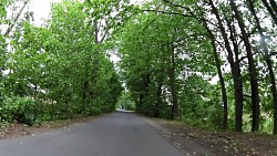 Obrázek z trasy Záhorská cyklotrasa