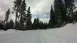 Obrázek z trasy Na běžkách z Pece přes Hnědý vrch, Lesní a Pražskou boudu a Peckou samotu zpět do Pece pod Sněžkou
