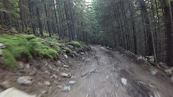 Obrázek z trasy Pod vrchol Petreanu po lesních cestách